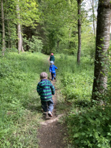 Unterwegs im Wald